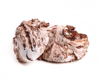 Meringue chocolat